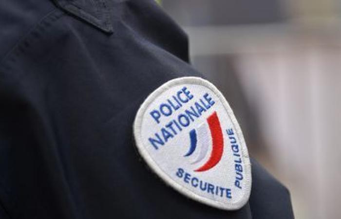 A young adult shot and killed in Valence in Drôme