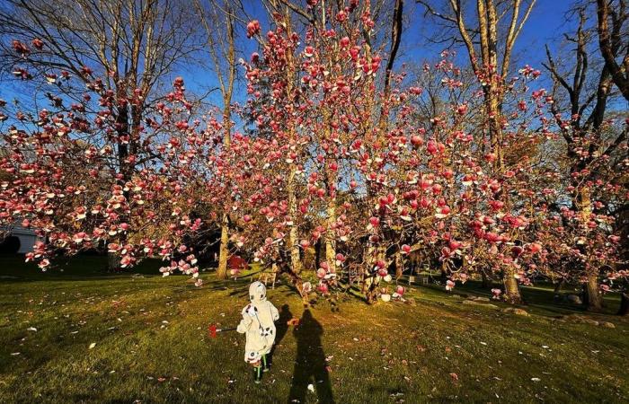 Richard Gere and wife Alejandra’s enormous Connecticut ranch they’re leaving behind