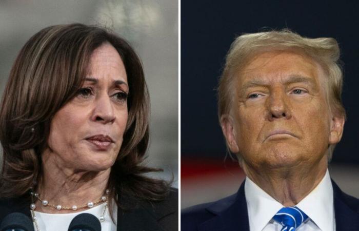 Final sprint for Harris and Trump four days before the presidential election