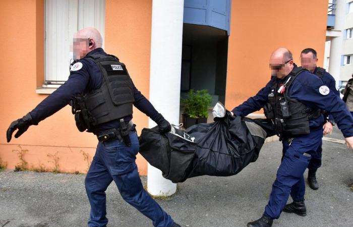 France under the bloody influence of drug trafficking