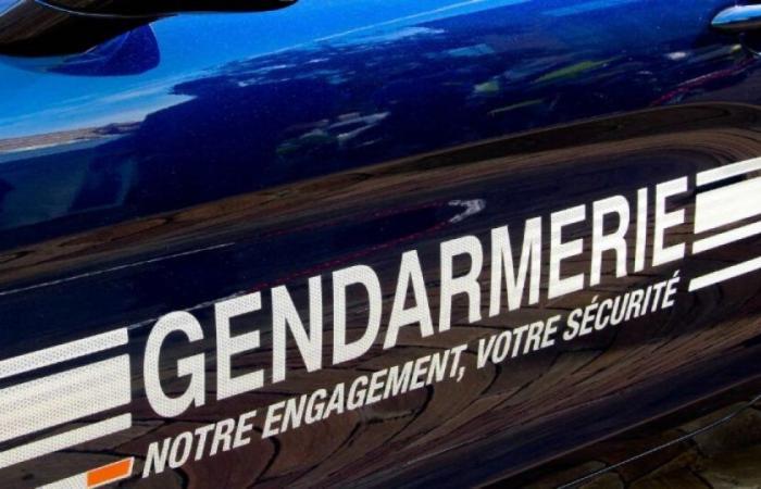 In the Ardennes, Batman and Catwoman flashed at more than 200 km/h on Halloween evening: News