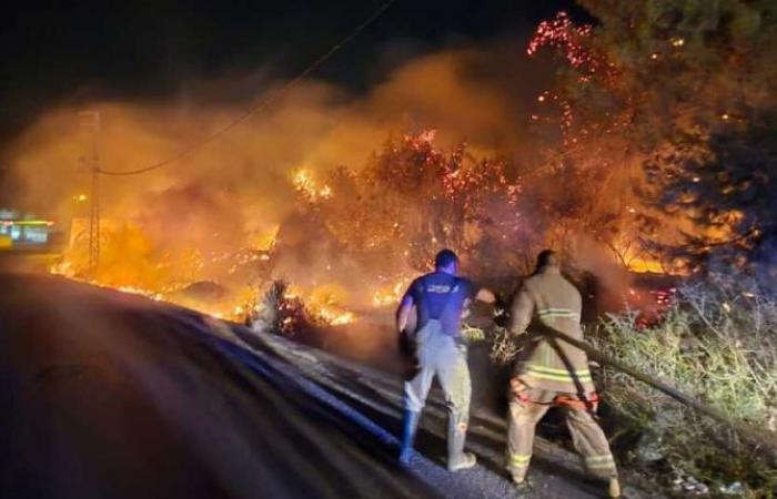 Fire in Roumieh forest brought under control