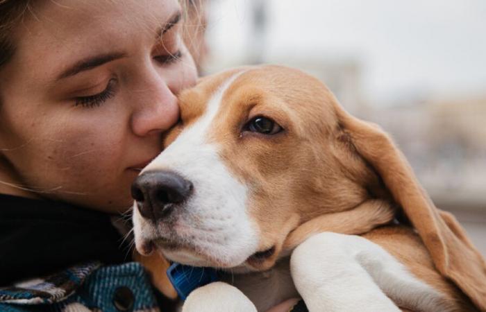 FACT OF THE DAY How to mourn the loss of your pet?