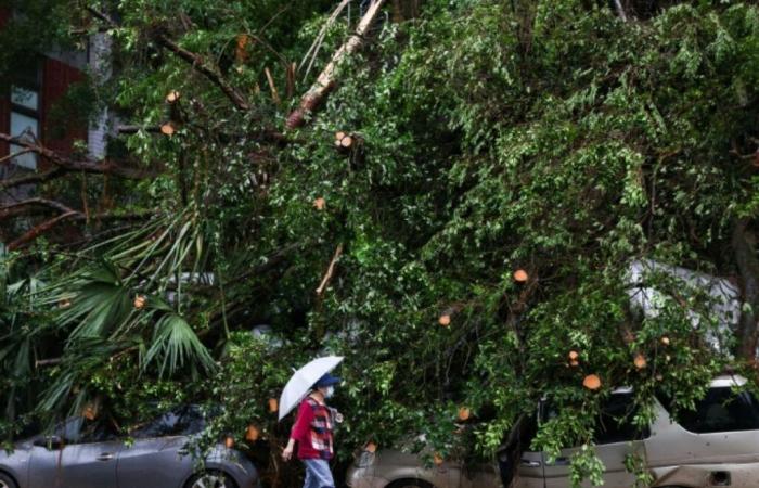 Taiwan: two dead and more than 500 injured after the passage of Typhoon Kong-rey