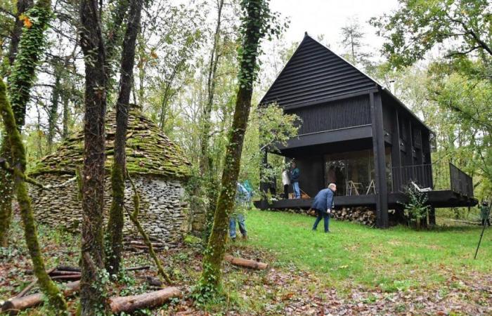 Video. Discovering, in Périgord, an astonishing black wooden house