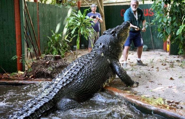 Cassius, the world's longest crocodile, died at over 120 years old