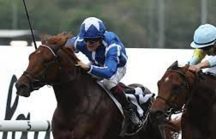 Saturday 2/11 at Rosehill – Golden Eagle: Lazzat beaten but heroic