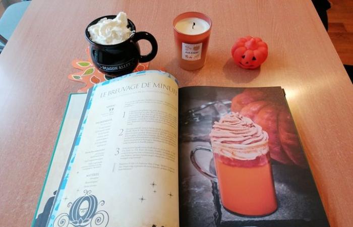 [Critique livre] Gastronogeek: Disney Enchanted Elixirs