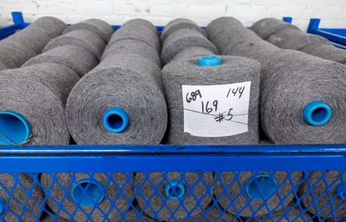 Quebec wool | An industry that wants to get back on track