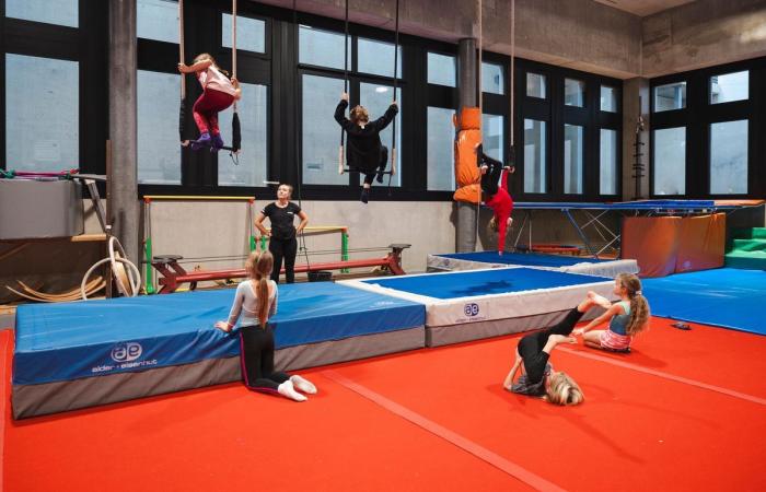 Leisure and training: the circus thinks big in Renens