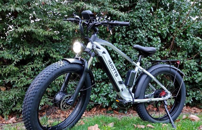 Incredible price drop on the DUOTTS F26 double motor electric bike version 2024