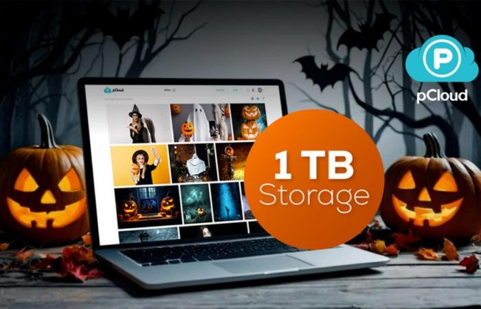 Last hours to take advantage of pCloud’s incredible promotion on its online storage solutions