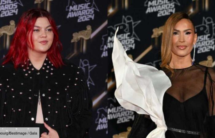 PHOTOS – Louane, Slimane, Vitaa… A look back at the most beautiful looks from the 26th NRJ Music Awards