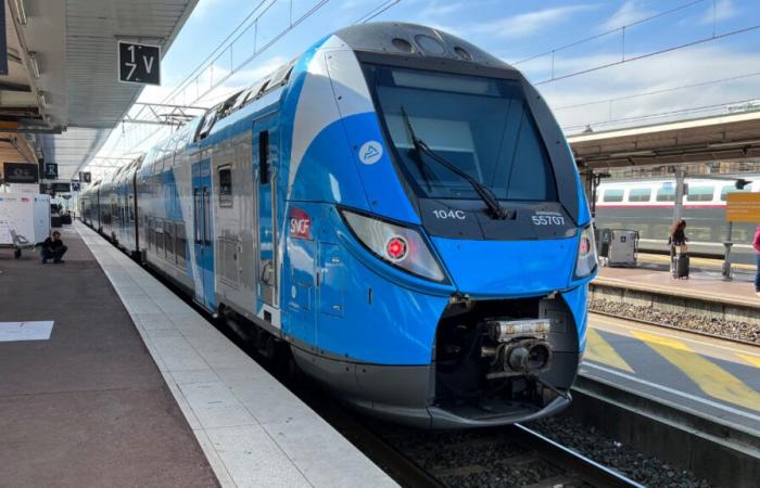 Early reopening of the Lyon-Saint-Étienne railway line