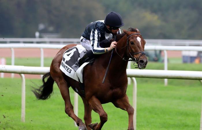 Rashford, Le Riskel, Color Ritano: everything about the meeting of the Grand Prix de Nantes Défi du Galop