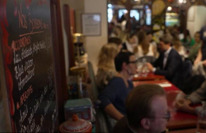 VIDEO. Cafés and bistros, a French art of living classified as an intangible cultural heritage of humanity