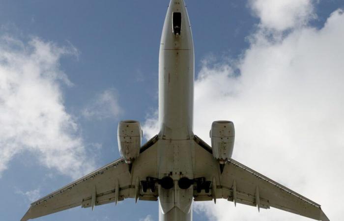 a plane to New York makes an emergency landing due to strange noises in the hold