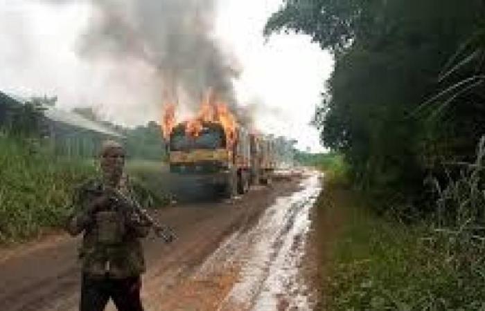 Irumu: 118 hostages escape from the ADF during a joint FARDC-UPDF operation