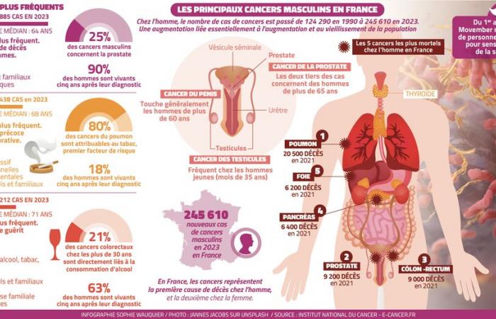 “Particles 10,000 times smaller than a grain of sand against prostate cancer”: in Montpellier, the race for a new treatment