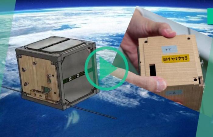 Against space pollution, a wooden satellite sent into space by Japanese scientists