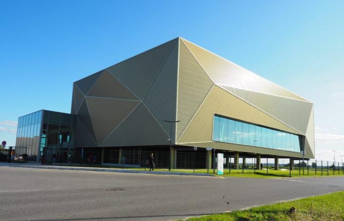 Essonne: the Nikola Karabatik gymnasium in Mennecy amazes