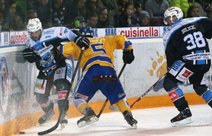 Ice hockey. After the big worry, Tours gives reassuring good news from Matthieu Frecon, formerly of Gap, Grenoble and Briançon