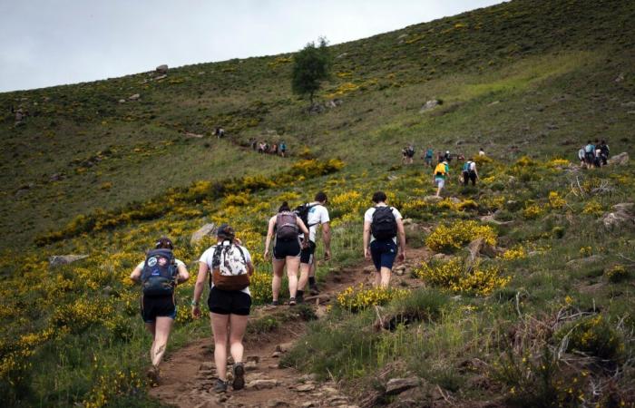 Walking still booming, hiking is attracting more and more women