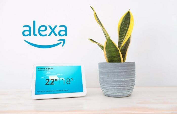 Between hopes and delays, Amazon is struggling to relaunch Alexa – Les Alexiens