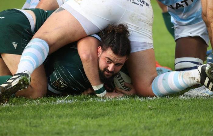 Top 14: ugly three for the Section Paloise, beaten by Racing 92 at Le Hameau (23-33)