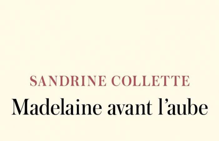 Literary chronicle by Jean-Rémi Barland. Sandrine Collette, in the final of the Prix Goncourt 2024, offers with “Madelaine avant l’aube” a magnificent ode to family ties