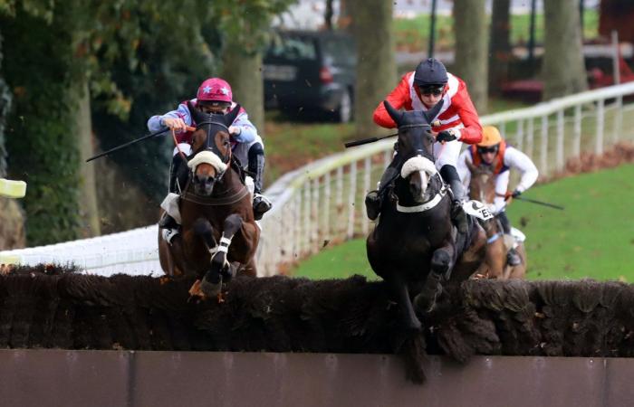 Rashford, Le Riskel, Color Ritano: everything about the meeting of the Grand Prix de Nantes Défi du Galop