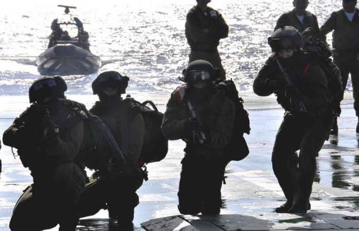 Israel-Hezbollah war: “Naval command”, Israel suspected, investigation opened… what do we know about the kidnapping of a civilian in the north of the country?