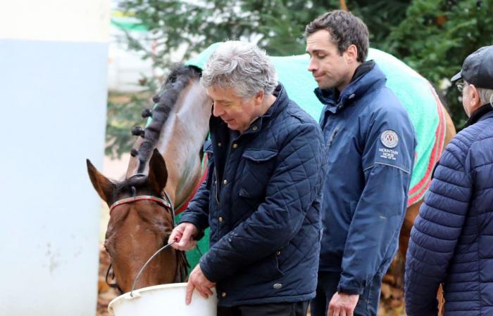 Rashford, Le Riskel, Color Ritano: everything about the meeting of the Grand Prix de Nantes Défi du Galop