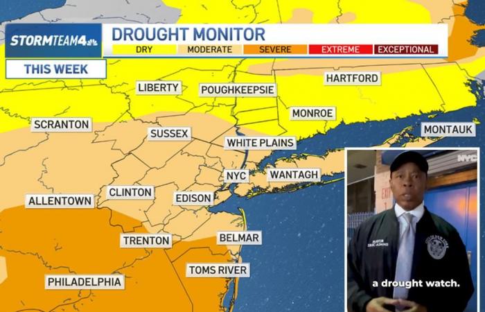 NYC under drought watch after second driest October in recorded history — with residents being urged to ‘conserve every drop’