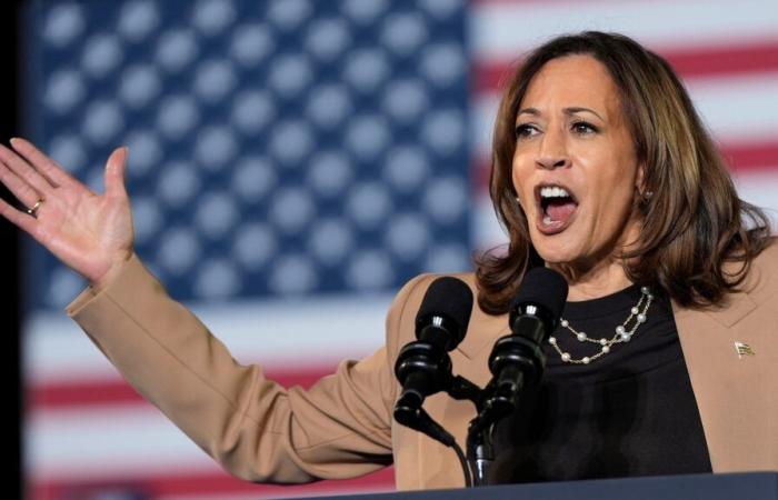 Harris regains slight lead nationally yet Electoral College holds the cards: POLL