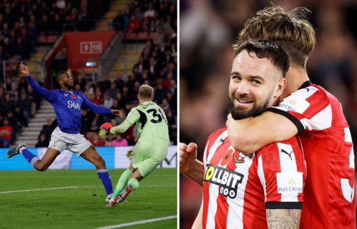 Southampton 1 Everton 0: Saints bag first win in huge relief to under-fire Russell Martin as Toffees rue missed sitter