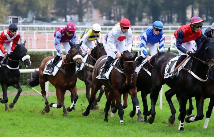 Rashford, Le Riskel, Color Ritano: everything about the meeting of the Grand Prix de Nantes Défi du Galop