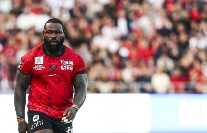 Top 14 – Toulon – Lyon scores: Priso shone brightly, Blanc-Mappaz missed out