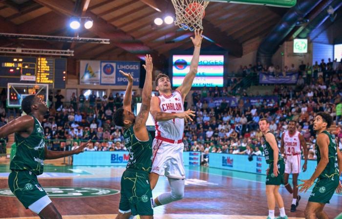 BASKETBALL (Betclic Elite): Elan Chalon beaten by Saint-Nicolas and Limoges