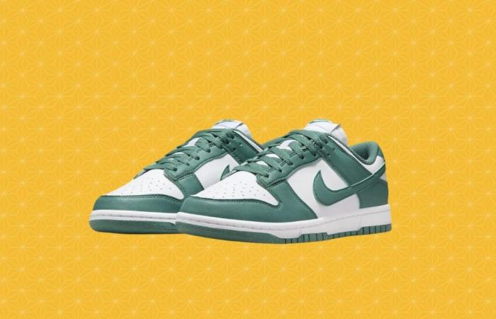 what are the Dunk Low sneakers at a knockdown price?