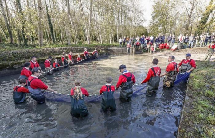 in Saint-Maigrin, an empty pond and very fresh fish to grab