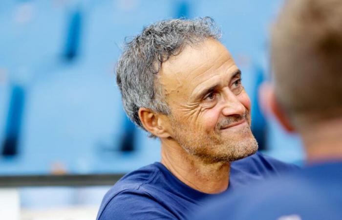 Saudi Arabia ready to do a huge favor for Luis Enrique?