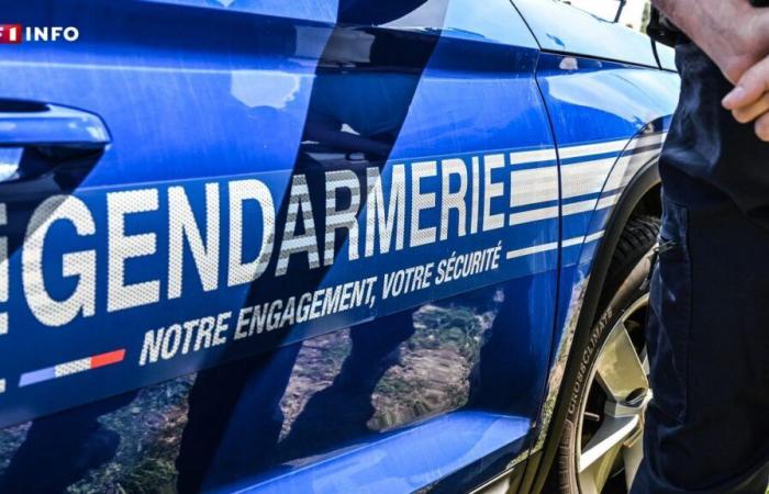 Ardennes: Batman and Catwoman flashed at more than 200 km/h on Halloween