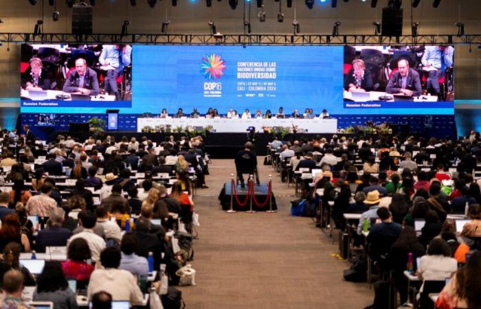 COP16 biodiversity ends in Cali, failure of negotiations on financing