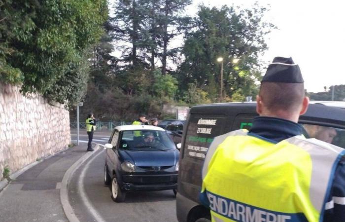 Hundreds of participants in the wilderness: the police cut off the sound of a rave party in Sospel and caused a shower of fines