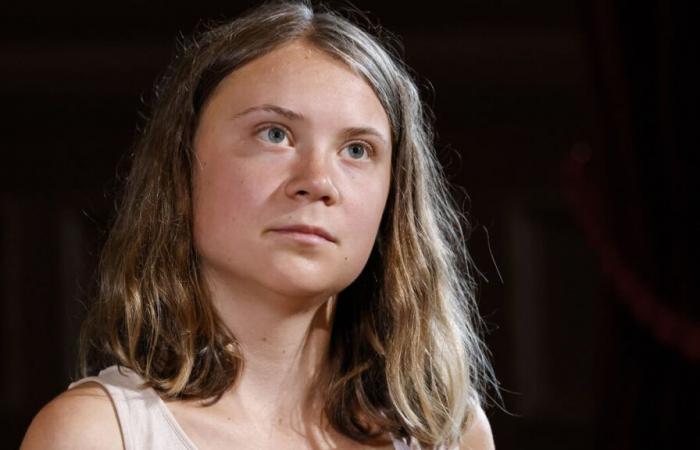 US presidential election: for Greta Thunberg, Trump is “more dangerous”, but Harris has “blood on her hands”