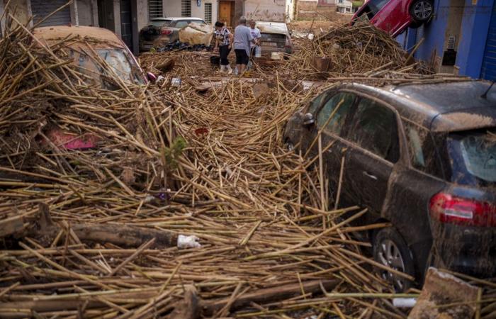 Floods in Spain | At least 211 dead, new military reinforcements dispatched