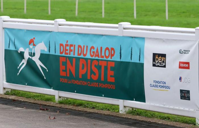 Rashford, Le Riskel, Color Ritano: everything about the meeting of the Grand Prix de Nantes Défi du Galop