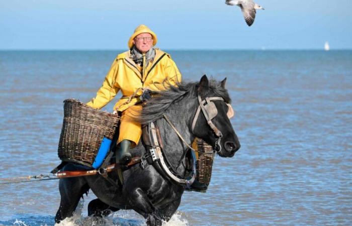 A Belgian municipality is the “last place in the world where people fish this way”