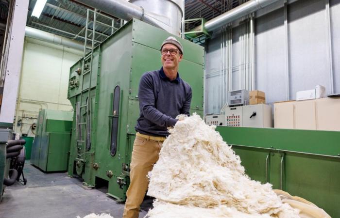 Quebec wool | An industry that wants to get back on track